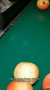 dutch apple pie recipe