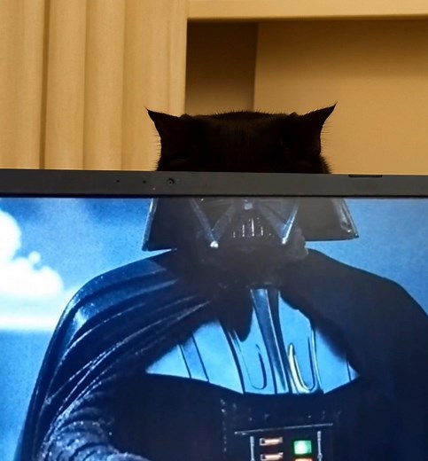 Darth Meow! #fblifestyle | Cloud City