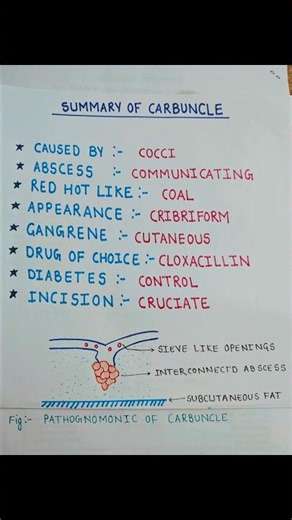 CARBUNCLE: FAST SUMMARY FOR EXAMS #mbbs #bds #education #bhms #bams #nursing #exam #medicalstudent