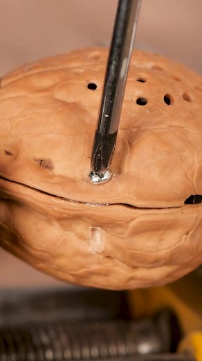 Speaker in a Walnut Case! | Handy Panda