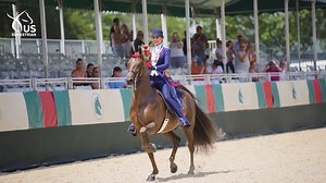28K views · 1.2K reactions | Hear from your newly crowned Saddle Seat Adult Amateur National Champion, Gabriella Costantini as she talks more about her exceptional ride aboard CH Nuttin Doing aka Nutella ⬇️ Catch up on what you missed on-demand: https://www.usef.org/network/coverage/2019ssmedal | USEF Network | Facebook