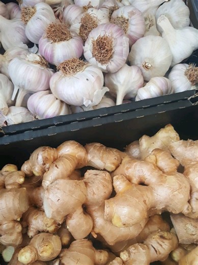 Ginger & Garlic Hair Growth Oil for Stronger Hair