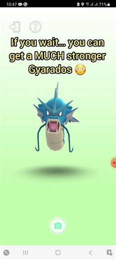 Don’t Evolve Magikarp Yet… Big Mistake! ⚠️