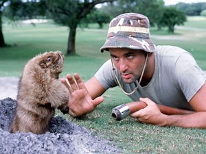 Bill Murray is opening a Caddyshack bar in Chicago