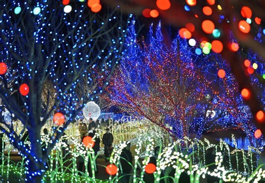 【茨城新聞】きらめく四季の光　夜の公園イルミネーション　茨城・河内