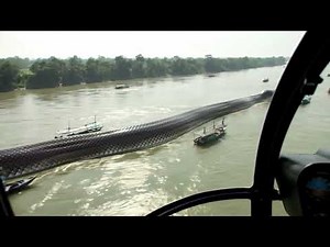 Biggest Anaconda EVER! You Have to See This!