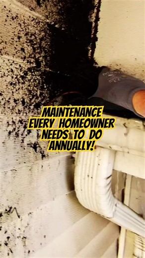 Maintenance Every Homeowner Should Do Annually - Clean Your Gutters Out! #DIY #asmr #clean #Gutters