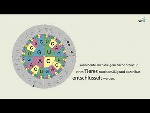 Genomische Selektion, was ist das und wie funktioniert sie?