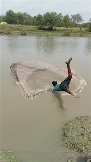 Wow amazing fishing #net fishing #Amazing fishing #viral fishing video