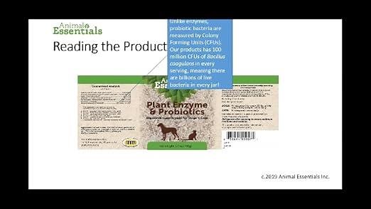 0cfdef36602e439d98844ff2100508ce