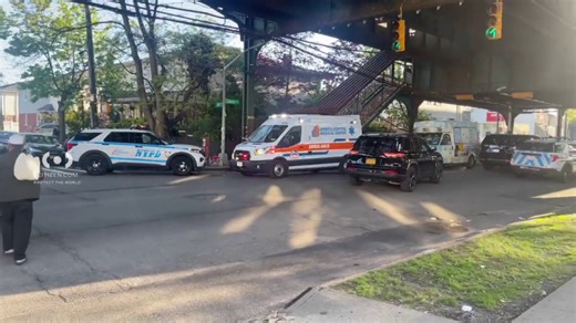 Teen shot on subway during rush hour commute: NYPD