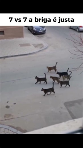 Povo da rua de cima e o povo da rua de baixo kkkkkkkkk