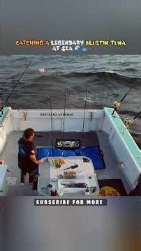 Catching a Legendary Bluefin Tuna at Sea 🌊 #Shorts #Fishing🐟 #Video #Viral 🔥