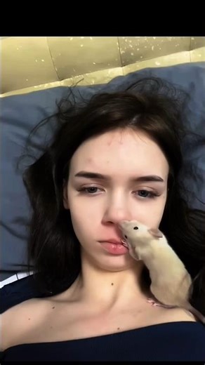 👉 Wait… What Is This Mouse Doing?! 😂🐭#funny #mouse #sadanimalfacts #funniestvideo #funnymoment