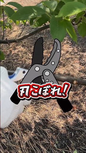 【感動の切れ味、再び】ラチェット式枝切ばさみの刃を交換するだけで、太い枝も驚くほど楽に切れる！【園芸DIY】