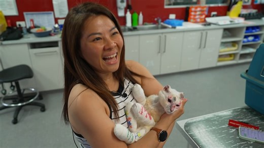 Siew Lee Seow collects cat Sassy from vet