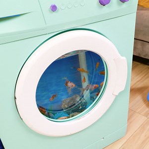 Transforming broken washing machine into stunning aquarium | Green Bean