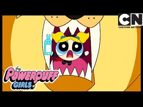 15 Minutos De Fama | As Meninas Superpoderosas | Cartoon Network