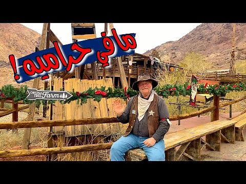 الكاوبوي وبلدتهم الفاضيه من المعارك ⛓💰