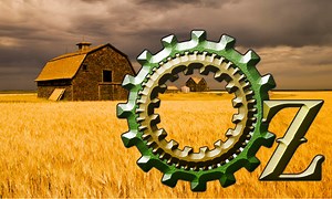 The Wizard of Oz Projections | Rick Frendt