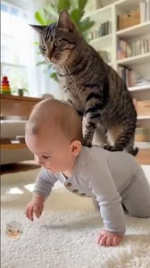 Cat Rides On Baby’s Back And It’s Just Too Cute 🥹