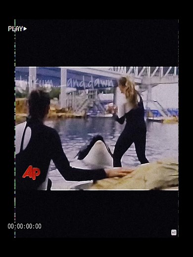 tilikum.._and.dawn on TikTok