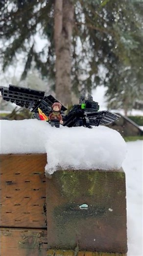 Taking My LEGO Toothless from HTTYD into a Snow Storm