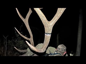 Pecos Wilderness Muzzleloader Elk Hunt 2023