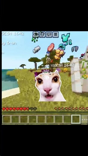 The Power of My Dog Army in Minecraft! 🐕⚔️