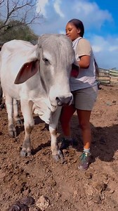 Life of a Farmer👩‍🌾 | Agriculture LIFE Media
