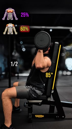 ALPHA COACHING on Instagram: "🔥 Shoulder Press ≠ Incline Press ❌ A lot of people think it’s basically the same exercise. It’s not. 👉 Dumbbell Shoulder Press ~85° ➡️ Anterior deltoid dominant 💡 Vertical pressing path, arms above shoulder line ➡️ Chest is only assisting 👉 Dumbbell Incline Press ~45° ➡️ Upper chest dominant 💡 More horizontal pressing path, strong arm adduction ➡️ Shoulders assist, but don’t lead the movement 🎯 Same dumbbells. Same gym. Completely different stimulus. It’s not