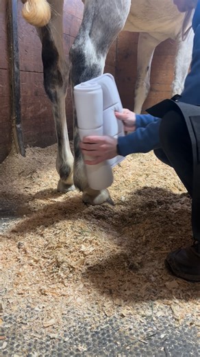 StrappyWrap™ | Ultimate Quick Apply Horse Wraps on Instagram: "Ever wished you could permanently take ‘Roll wraps’ off your to do list? Yeah, same. 🙋🏼‍♀️ Whether you’re a busy professional or an ammy with limited barn time - you want to make every minute you have count, while still keeping your care at the highest standards. There’s already quick wraps out there. But if you’re like us - you know they don’t make the cut in creating the supportive compression like traditional wrapping. That’s wh