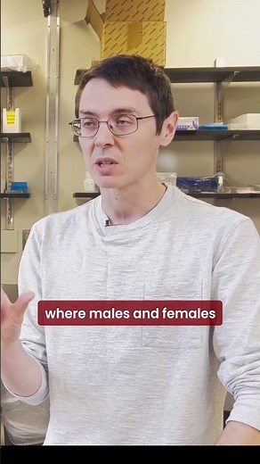 University of Chicago Biological Sciences Division: Butterfly Mimicry in the Kronforst Lab