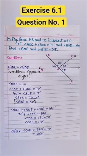 class 9th Chapter 6 Lines and angles | Exercise 6.1