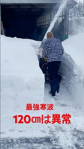 積雪120㎝除雪動画 2026年1月25日 #最強寒波 #除雪機 #ヤンマー除雪機