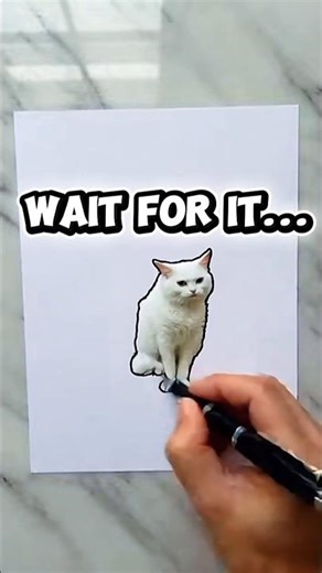Funny Cat Drawings: White Munchkin Cat Animation #shorts #funny