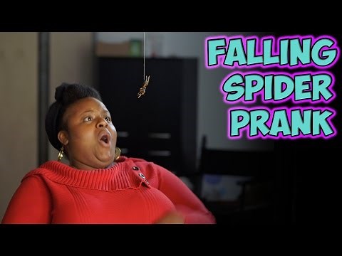 Falling Spider Prank