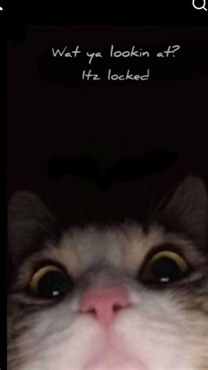 screenshot then crop