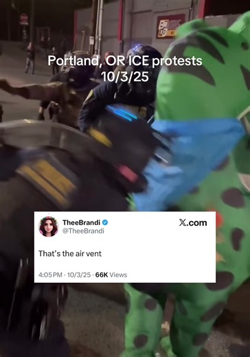 Protests in Portland: Mace Sprayed on Peaceful Protesters