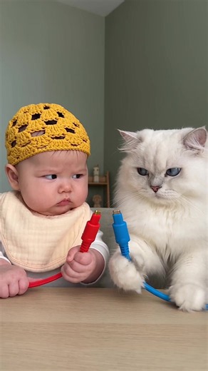 Bro tried fixing the WiFi and gave them matching hairstyles 😭⚡️😹 #CatTok #BabyTok #CatMemes #FunnyAnimals #CuteBaby