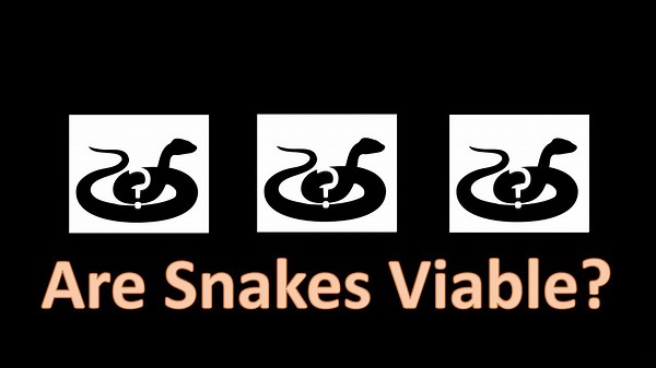 Optimizing the Snake Build