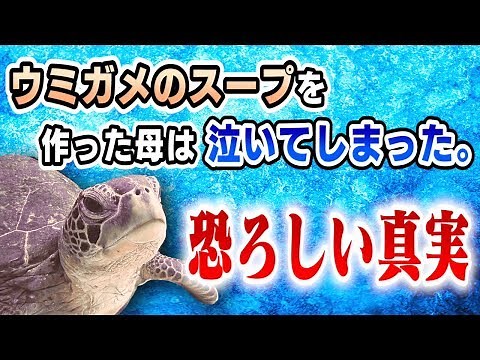 ３人で『新説 ウミガメのスープ』に挑戦！【推理クイズ】