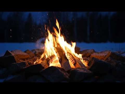 🔴 LIVE Cozy Campfire by the River at Night | Relaxing Outdoor Fire Sounds | Night Campfire Ambience