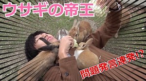 【スーツ旅行】ウサギ界の帝王になるスーツさん