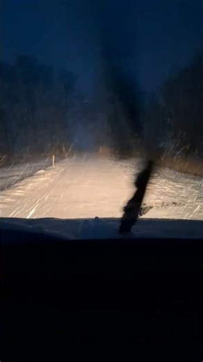 20260216 Botanik - Me, Myself & I - selbst ist die Frau - Schnee