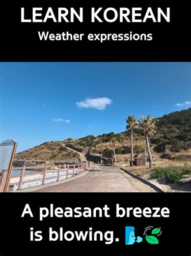 🌹 How to pronounce & Meaning 🌹 🗣️ Pronunciation: Ba-ram-do wan-jeon gi-bun jo-eun ba-ram-i bu-neun-de-yo! 📖 Word by Word: • Ba-ram (바람): Wind / Breeze • ~do (~도): Also / Too • wan-jeon (완전): Completely / Totally (Emphasis) • gi-bun jo-eun (기분 좋은): Pleasant / Feel-good • bu-neun-de-yo (부는데요): Is blowing (With a soft nuance) 💡 Tip: Use