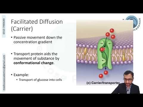 Transport Across Cell Membrane