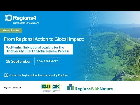"From Regional Action to Global Impact" R4BLP webinar