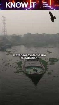 10 Marvelous Facts About Aquatic Ecology