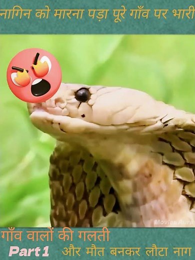नागिन को मारना पड़ा पूरे गाँव पर भारी #shorts #youtubeshort #shortfeed #movie #nagin #serial